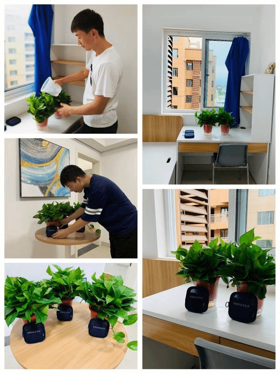 点击查看大图