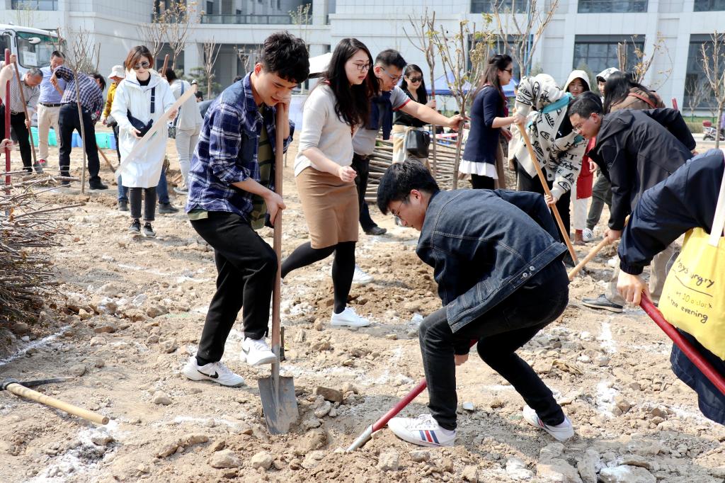 点击查看大图