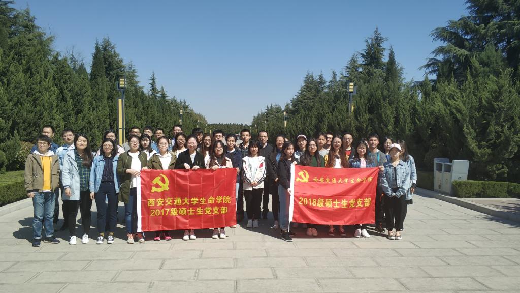 点击查看大图
