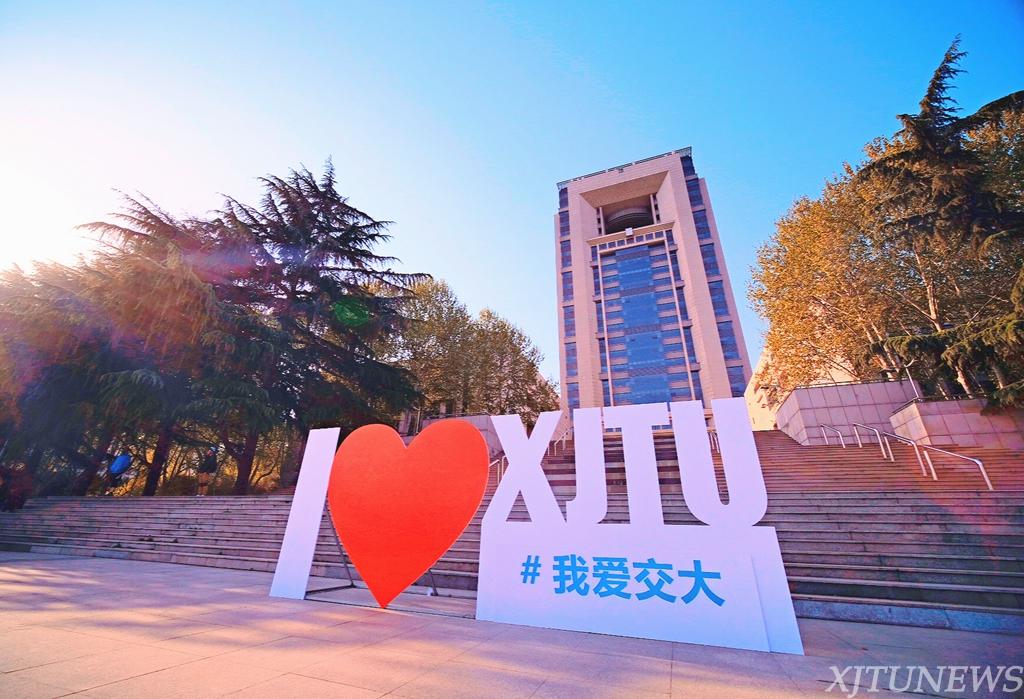 点击查看大图