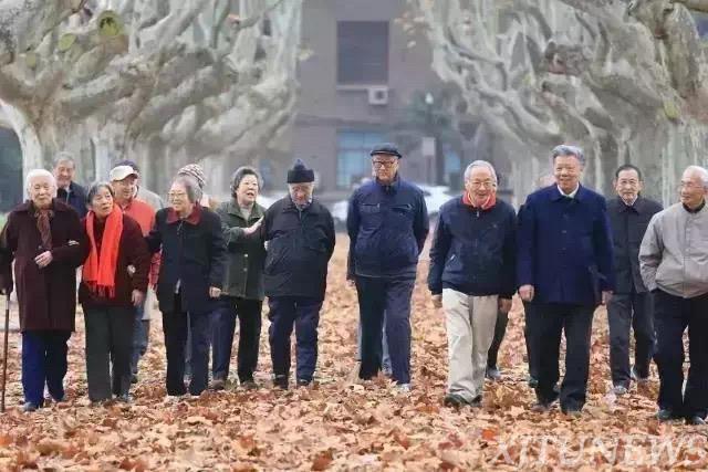 点击查看大图