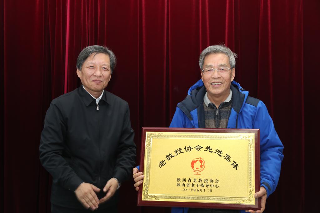 点击查看大图