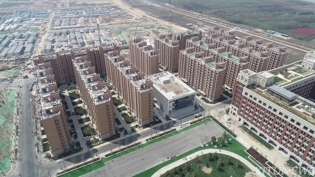 点击查看大图