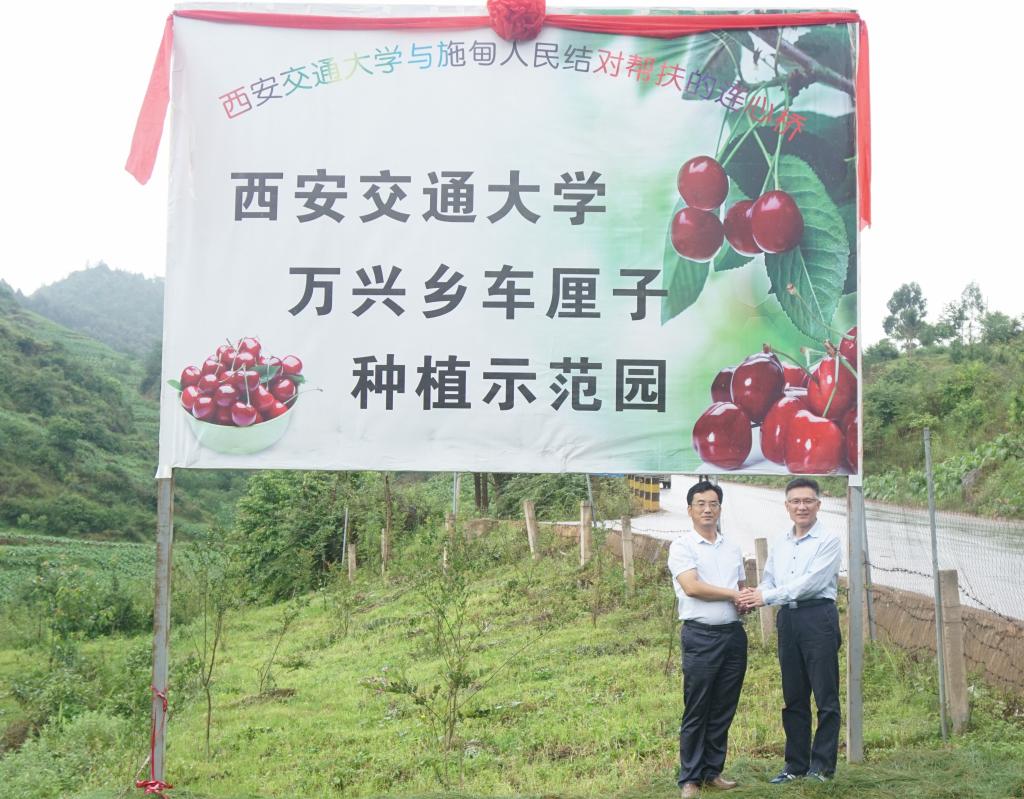 点击查看大图