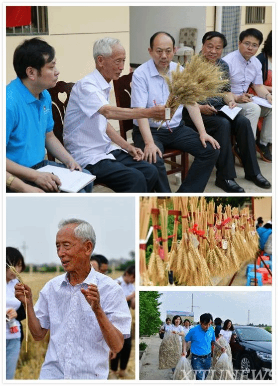 点击查看大图